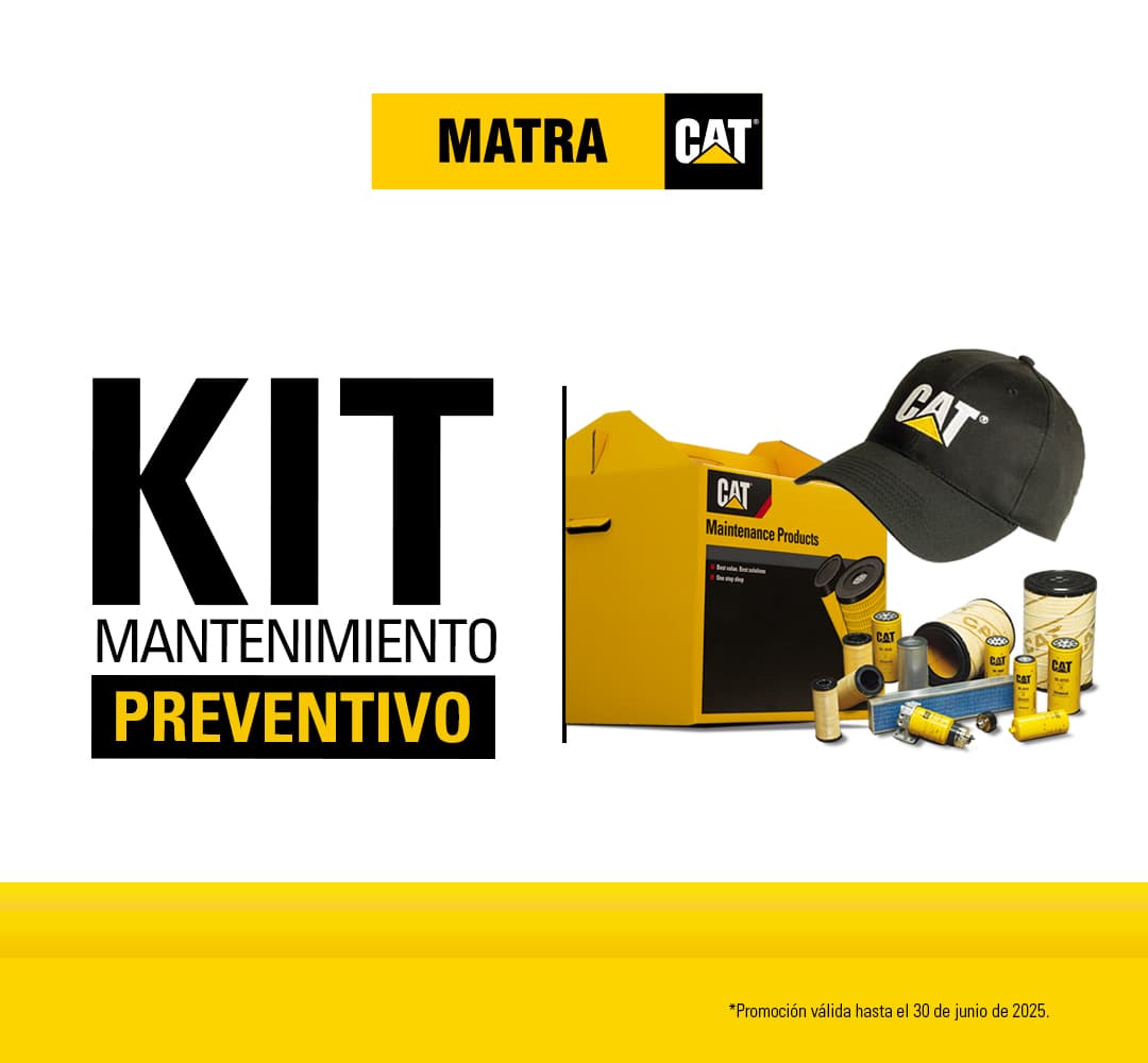 MP Kit Cat